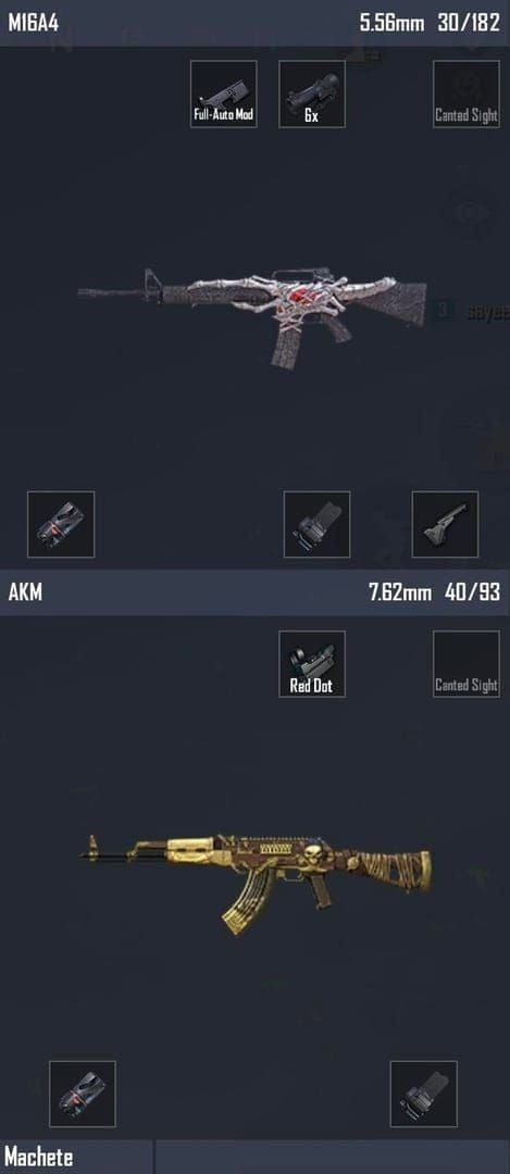 Премиум-скины оружия PUBG Mobile для винтовок M416 и AKM