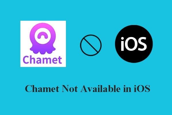 Интерфейс настроек конфиденциальности iOS для разрешений микрофона и камеры Chamet
