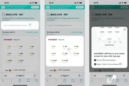Руководство по процессу оплаты PayNow для покупки бриллиантов Bigo Live