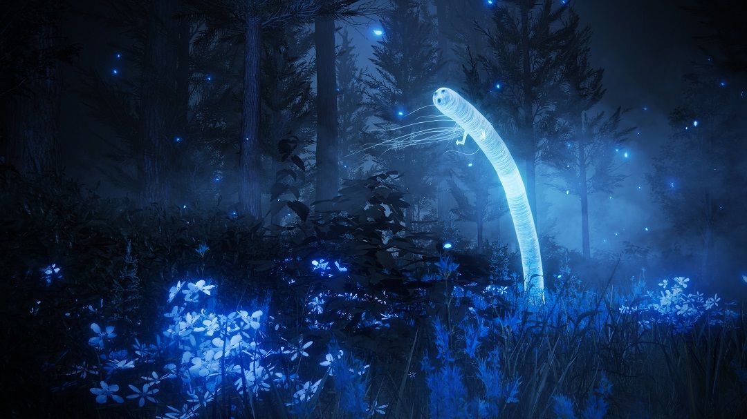 DLC «Elden's Ring» уже доступно для предзаказа. Представлены цены и содержание каждой версии.