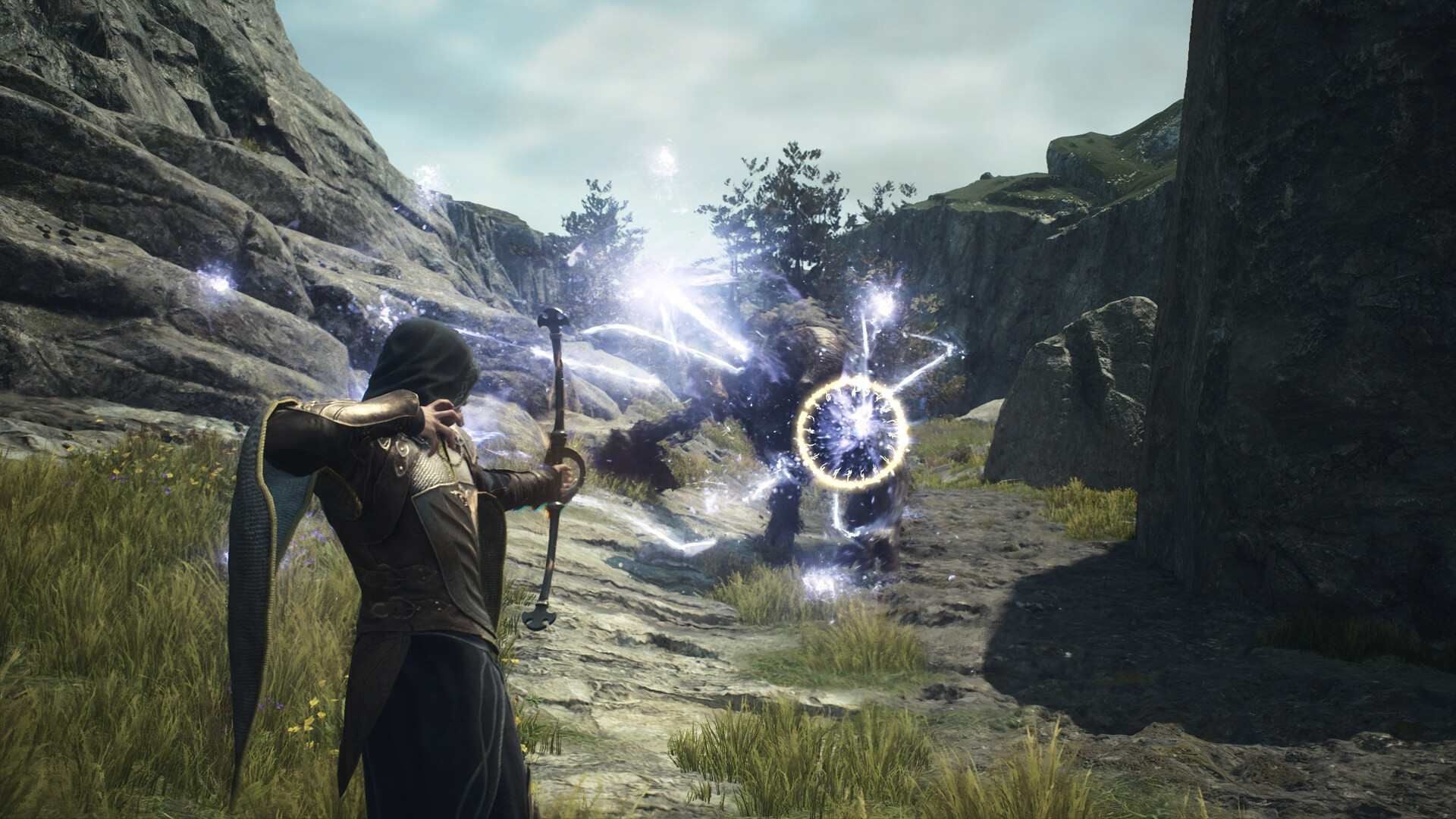 Сетевые функции «Dragon's Dogma 2» не требуют членства, демо-версии игры или появятся в ближайшее время.