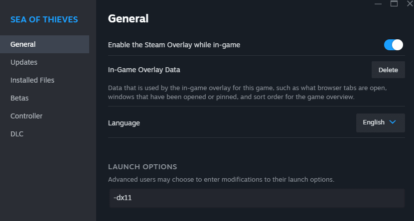 Steam properties launch options window with dx11 parameter