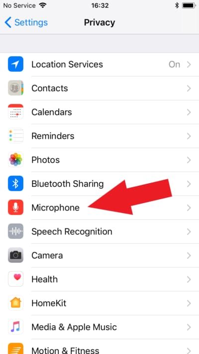 iOS Settings for WeSing showing Microphone permission toggle off and on