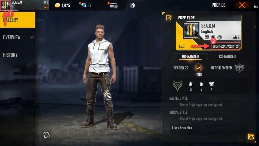 Скриншот профиля Free Fire LATAM с Player ID под никнеймом
