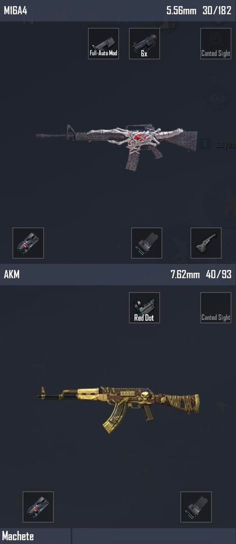 PUBG Mobile optimal weapon loadout guide showing M416 and Mini14 combination