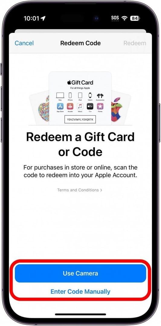 App Store redeem interface for Apple Gift Card
