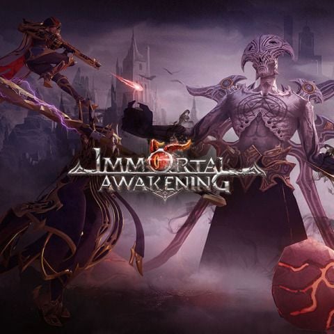 как пополнить баланс Immortal Awakening Coupon