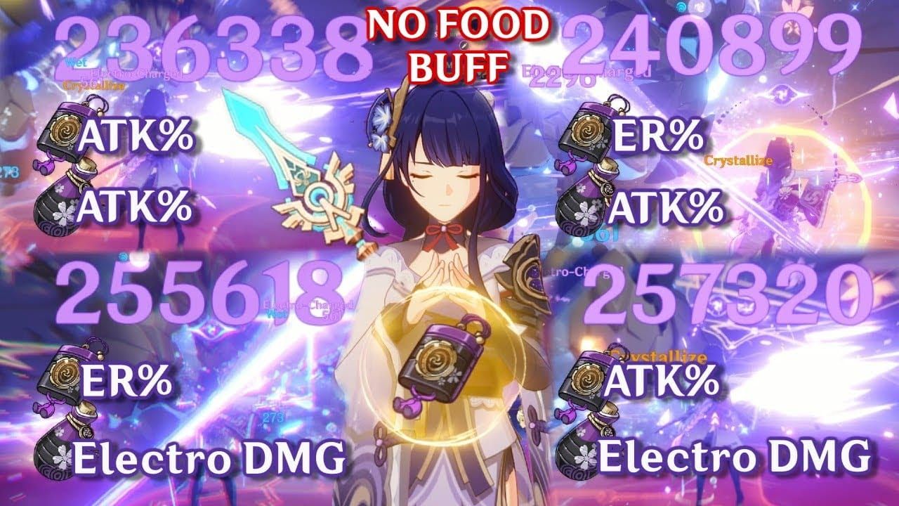 Comparison of ER-focused vs. ATK-focused builds for Raiden Shogun in Genshin Impact