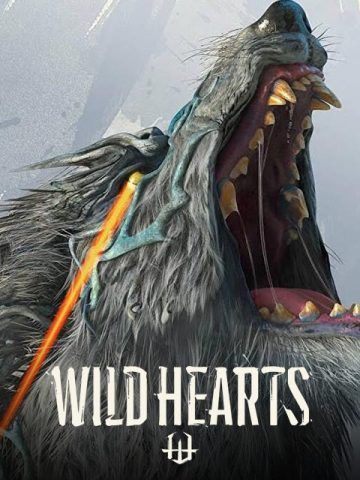 WILD HEARTS
